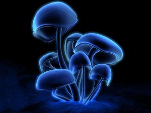 blueshroom.jpg